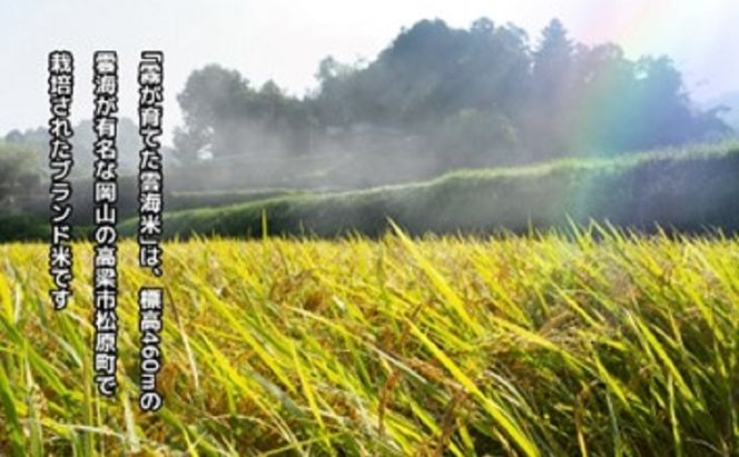 霧が育てた雲海米 特別栽培米 10kg (5kg×2) 雲海米 精米 コシヒカリ 米 コメ お米 おこめ 白米 こしひかり 岡山 高梁市