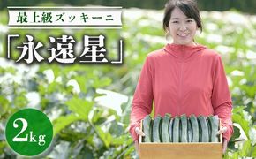 最上級ズッキーニ「永遠星」 ※2026年5月上旬～6月下旬頃に順次発送予定