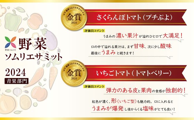 【お試し】甘さ抜群!トマト嫌いでも食べられるトマトベリー 約700g（1月～4月発送） H004-125