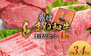 藤増 しまね和牛まげなセット【冷凍】 322032_DS003