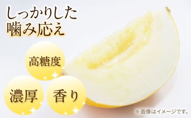【2026年5月〜発送】訳あり メロン イエローキング 1箱 5kg以内 （3～6玉）/ メロン めろん フルーツ 果物 / 南島原市 / 南島原果物屋[SCV042]
