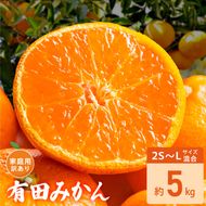 家庭用 訳あり 有田みかん 和歌山 2S～Lサイズ混合 約5kg_DZ6236