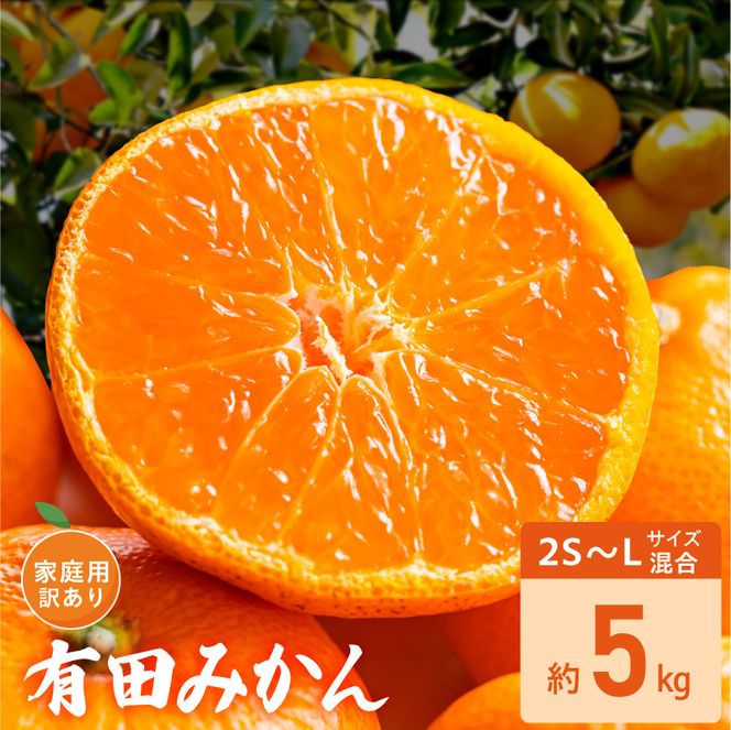 家庭用 訳あり 有田みかん 和歌山 2S～Lサイズ混合 約5kg_DZ6236