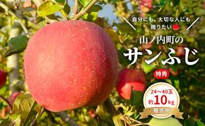 りんご 先行予約 贈答用 サンふじ 特秀 10kg フルーツ 果物 ギフト 2026年 12月発送