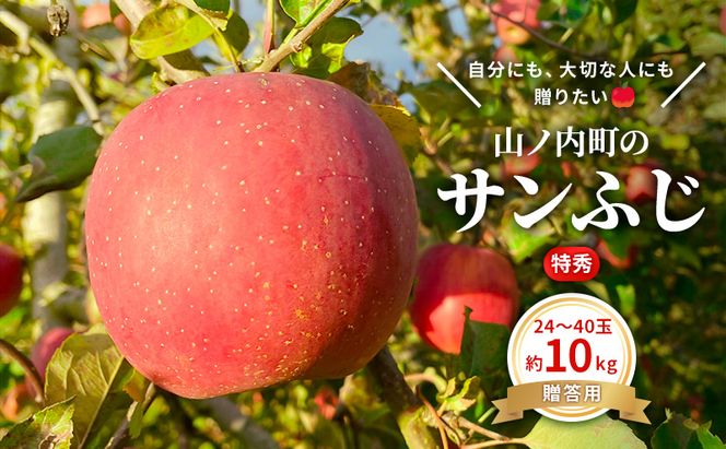 りんご 先行予約 贈答用 サンふじ 特秀 10kg フルーツ 果物 ギフト 2026年 12月発送
