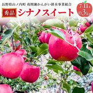 【2026年10月発送】シナノスイート 秀品 約3kg 7～11玉 りんご 果物 信州 長野