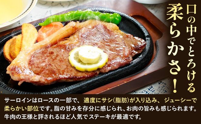 黒毛和牛 A5等級 肉 和牛 国産 牛肉 サーロイン ステーキ ステーキ肉 約400g (約200g×2枚) 株式会社ウィズフラワーホールディングス《30日以内に出荷予定(土日祝除く)》岡山県 浅口市 冷凍 分厚い送料無料---124_f155_30d_23_19000_400g---