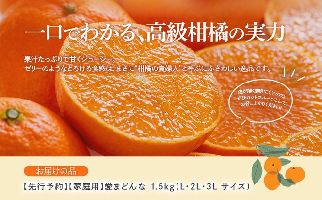 【先行予約】【家庭用】愛まどんな 1.5kg（L・2L・3L サイズ）※離島への配送不可（2026年12月上旬頃より順次発送予定） IKTAR018