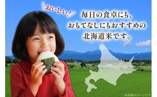 米 ななつぼし 令和8年 12回 定期便 JA新すながわ産 10kg×12回 総計120kg [ホクレン商事 北海道 砂川市 12260802] 令和8年産 定期 お米 コメ 白米 ごはん ご飯 国産 米 こめ kome おこめ