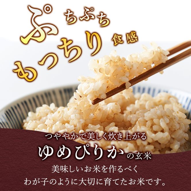 玄米【令和7年産】北海道産 ゆめぴりか 30kg (5kg×6袋) 仁木町 銀山米研究会【機内食に採用】ライス ブランド米 おにぎり お弁当 産地直送 主食 ご飯 朝ごはん 夜ごはん 昼ごはん[株式会社 松原米穀]
