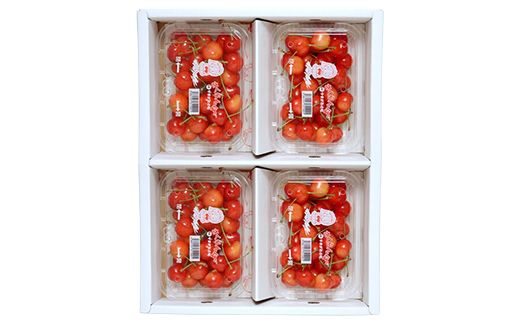 FYN6-535 ≪2026年先行予約≫ご家庭用 山形県産 さくらんぼ 品種おまかせ(佐藤錦・紅秀峰など) 720g(180g×4P) 丸秀 L以上 フードパック詰め 2026年6月中旬頃より発送 果物 くだもの フルーツ サクランボ チェリー 家庭用 自宅用 産地直送 山形県 西川町 月山