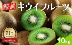 厳選 キウイ10kg+250g（傷み補償分）【扁平果】  / 和歌山 フルーツ 果物 くだもの ※2026年11月中旬より2027年4月下旬頃順次発送予定 ※北海道・沖縄・離島配送不可 【ikd505-p-10】