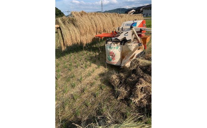 1261.＜令和７年産＞ たかた農園のお米「きぬむすめ」はでかけ　天日干し【精米10kg】 313726_CR001