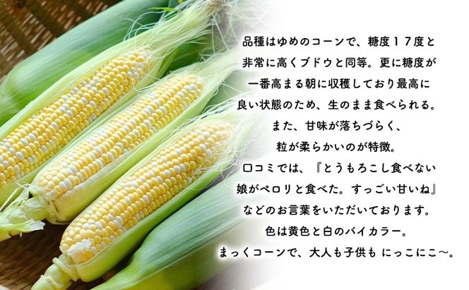 2026年発送 富良野産  生のまま食べれる！とうもろこし まっくコーン　11本　北海道 富良野市 とうきび とうもろこし 旬 季節 ふらの 甘い コーン
