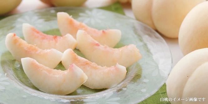 和歌山の桃 秀品 [約3.8～4kg] (サイズ・品種おまかせ) ※2026年6月中旬～2026年8月中旬頃に順次発送予定　紀伊国屋文左衛門本舗 和歌山 もも モモ 桃 果物 フルーツ 人気 産地直送 和歌山県 お取り寄せ【sgtb800B】