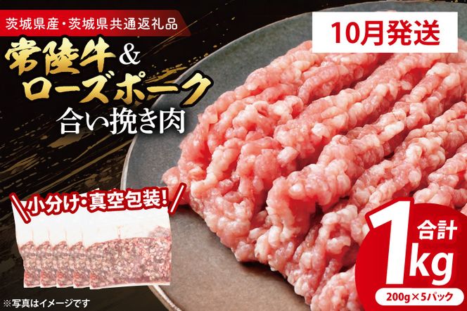 【発送時期が選べる・小分け・真空パック】 国産牛豚 合挽き肉 200g×5p (1kg) ( 茨城県共通返礼品・茨城県産 ) ブランド牛 ブランド豚 常陸牛 ローズポーク 茨城 国産 牛 牛肉 豚 豚肉 合挽肉 合い挽き肉 合いびき肉 挽き肉 挽肉 ひき肉 合挽ミンチ 合挽きミンチ ミンチ ハンバーグ 冷凍 発送時期が選べる 小分け 真空パック