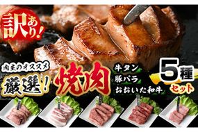 ＜訳あり＞厳選焼肉お試しセット (合計410g・5種) おおいた和牛 アイオワプレミアム 牛タン 米の恵み 豚バラ 焼肉 牛肉 肉 豚肉 赤身 カルビ 希少部位 低温熟成 和牛 ブランド牛 BBQ 冷凍 大分県 佐伯市【DH263】【(株)ネクサ】