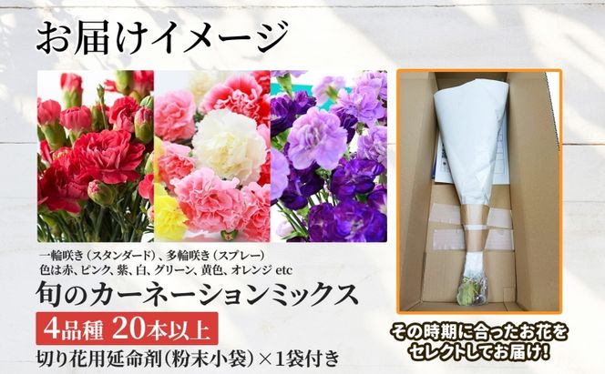 ＜2026年6月～8月まで3ヵ月連続お届け＞北海道 カーネーション ミックス 4品種 20本以上 花 花束 切花 ブーケ 旬 季節 生花 フラワー アレンジメント 
