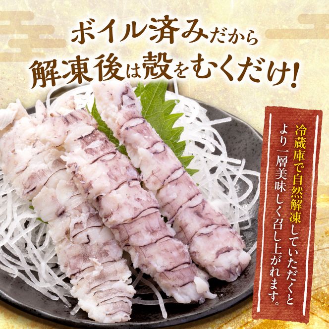 獲れたての味！北海道余市産 ボイルシャコ 300g×2パック 計600g 冷凍 国産 蝦蛄 殻付き 解凍後そのまま 刺身 寿司 天ぷら 鍋 わさび醤油 プリプリ食感 高タンパク DHA EPA 送料無料_Y022-0022