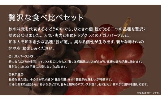 【 桐箱入り 】 ナガノパープル と 我が道 (各１房)【2026年8月上旬発送開始】(茨城県共通返礼品：大子町) ぶどう 葡萄 フルーツ 果物 贈答用 ギフト 贈り物