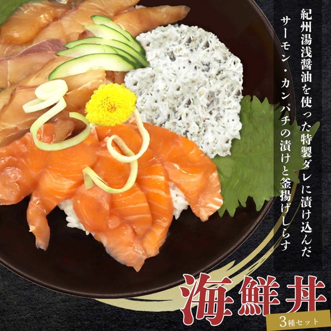 紀州湯浅醤油を使ったサーモンとカンパチの漬け＆釜揚げしらすの 海鮮丼 3種セット 計300g｜ 風味 濃厚 個別包装
※着日指定不可