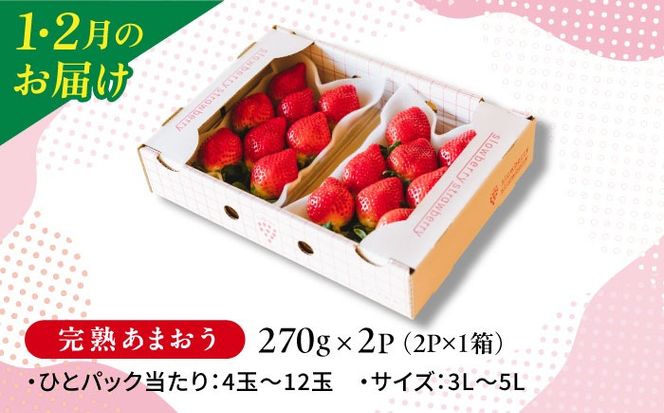 【全5回定期便】糸島産あまおうお楽しみ定期便 あまおう2パック×2回 / あまおうジャム3本 / 冷凍あまおう1kg×2回 糸島市　/ slowberry strawberry[APJ008]