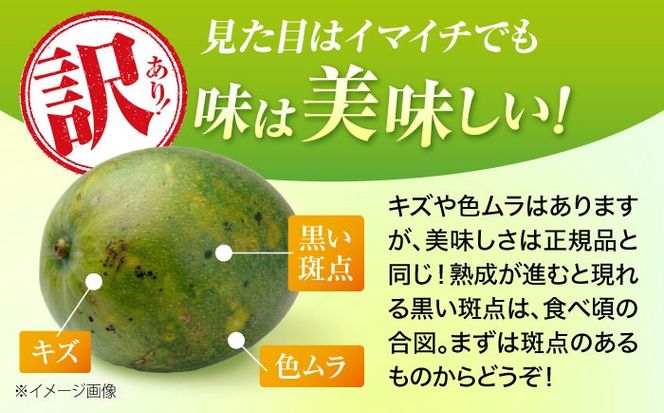 【2026年発送・数量限定】 【訳あり】 沖縄県産キーツマンゴー 約2kg (2～5玉) マンゴー 沖縄 果物 フルーツ ギフト 沖縄市 / ちゃんぷる～市場 [BCAA005]