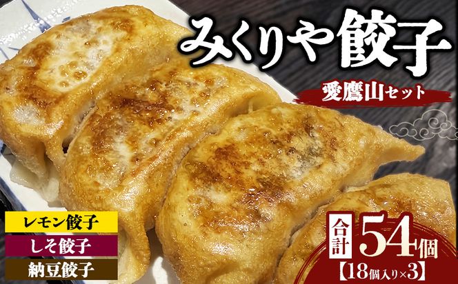 みくりや餃子 愛鷹山セット 大（18個入り×3） | 食べ比べ 詰め合わせ バラエティー 冷凍 ギョウザ 惣菜 おかず お弁当 レモン餃子 しそ餃子 納豆餃子