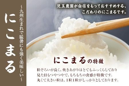 【令和8年産】先行予約 『児玉農園』にこまる 10kg 5kg×2袋《10月下旬-11月中旬頃出荷》 お米 米 精米 国産 熊本 九州 玉東町 産地直送---gkt_kdm_2_10kg---