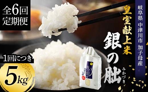 ＜テレビで紹介されました！＞令和8年産 新米【全6回定期便】皇室献上米『銀の朏』5kg 中津川市加子母産 栽培期間中化学肥料不使用 お米 精米 F4N-2892