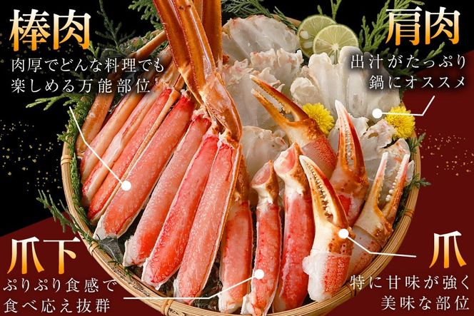 かに カット済 生 ずわいがに むき身 セット 総重量 750g (正味重量600g) 2-3Lサイズ [カネダイ 宮城県 気仙沼市 20565652] かに カニ ズワイガニ ずわい ズワイ 蟹 棒肉 ポーション かに鍋 かにしゃぶ 生ずわい