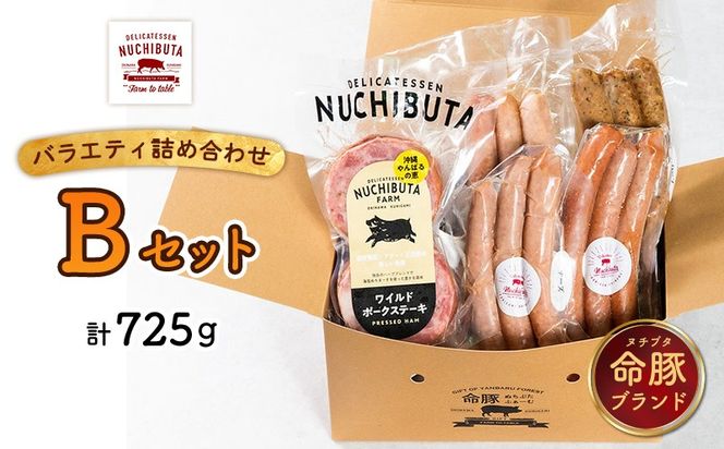 【沖縄市特産品セット】キャンプにオススメ「焚き火台＆ソーセージバラエティ」 キャンプ用品 ソロ アウトドア 焚火台 軽量 コンパクト 折りたたみ式 収納袋付き 遮熱シート NUCHIBUTA 豚肉 加工品 ソーセージ ポーク バラエティ おつまみ おかず グルメ キャンプ飯 沖縄