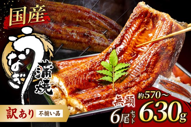 【訳あり】老舗魚屋のこだわり国産鰻 うなぎの蒲焼き6尾セット【魚住商店】_HA2001 うなぎ 国産 こだわり 丑の日 おいしい 福岡県宗像市 宗像市 福岡 宗像