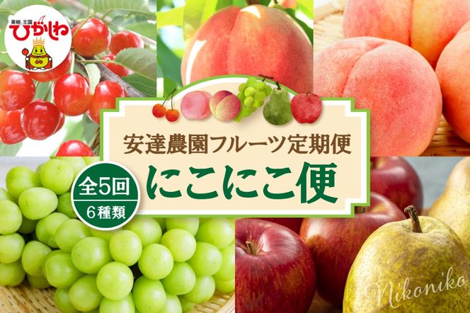 【2026年 5回定期便】安達農園フルーツ定期便 にこにこ便 安達農園提供 山形県 東根市 hi037-012
