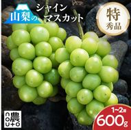 【2026年発送★先行予約】シャインマスカット 1~2房（600g以上）　154-008-600g