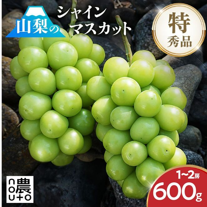 【2026年発送★先行予約】シャインマスカット 1~2房（600g以上）　154-008-600g