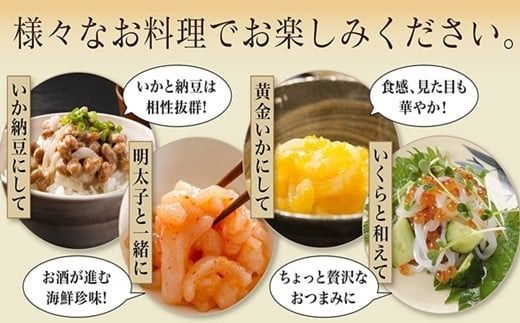 道水 いかそうめん5人前 刺身用イカソーメン_HD108-011