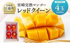 【令和7年発送】宮崎県産完熟マンゴー 「レッドクイーン」4玉(800g) 【 果物 フルーツ マンゴー 宮崎県産 完熟マンゴー みやざきマンゴー 先行予約 数量限定 期間限定 】☆ [D03215]