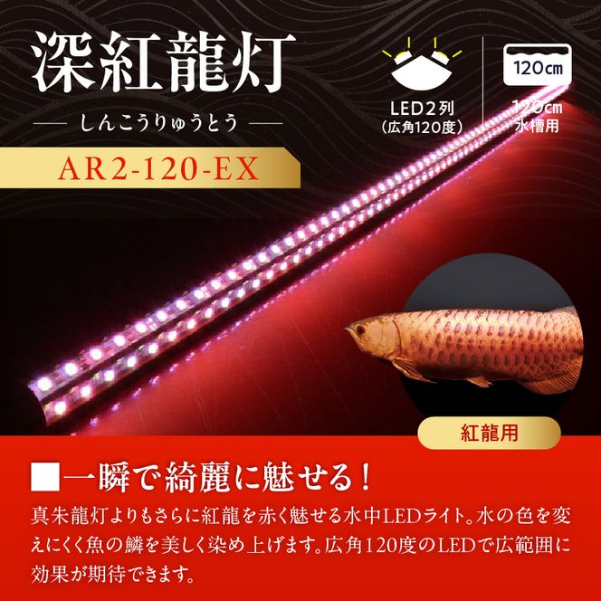 紅龍オーナー必見!一瞬でアロワナを美しく魅せる水中LEDライト|AR2-120-EX［172C20］紅龍 専用 スーパーレッド 赤 照射 水中 アロワナ 水槽ライト テンニングライト LED ライト 照明 水中照明 光 綺麗 強化ガラス 耐久性 吸盤 1年保証 簡単 設置 でんらい インテリア 雑貨 愛知県 小牧市 送料無料