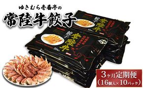 【3ヶ月定期便】ゆきむら壱番亭の常陸牛餃子10パック(160個入り) ※離島への配送不可