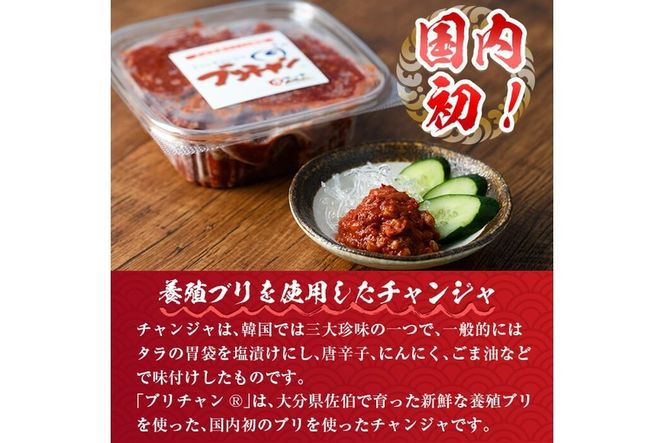 大分県産養殖ブリフィーレ(約1kg前後)とブリチャン（ブリのチャンジャ）お土産用(40g) セット 鰤 ブリ フィレ 国産 刺身 さしみ 魚介 海産物 半身 丼 カルパッチョ ブリしゃぶ たたき おつまみ 大分県産 大分県 佐伯市【EW063】【(株)Up】