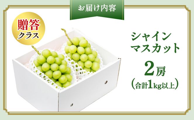 ぶどう 2026年 先行予約 プレミアム シャインマスカット 2房(1kg以上) 大粒 大房 贈答クラス ブドウ 葡萄 岡山県産 国産 フルーツ 果物 ギフト OEC KINGDOM ぶどう家 果物類