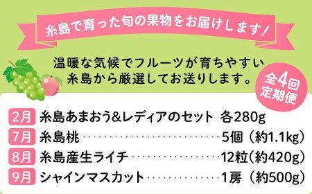 【全4回】糸島厳選くだもの定期便 約2人前 フルーツ 果物 糸島市 / やますえ あまおう シャインマスカット 桃 ライチ [AKA071] ランキング 上位 人気 おすすめ