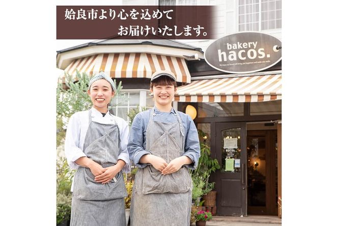 a985 《選べる個数》ハコスの人気ベスト3パン詰合せセット(計3～6個)【bakery hacos】姶良市 パン 冷凍パン 詰め合わせ 惣菜パン 菓子パン パイ アップルパイ めんたいフランス クランベリーチーズ