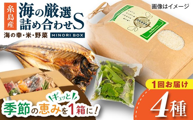 糸島産 魚 米 野菜 果物 厳選詰め合わせ MINORI BOX Sサイズ 糸島市 / emma.Inc / 米 魚 野菜 詰め合わせ[AOP019]
