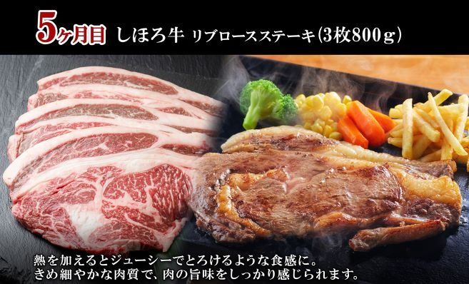 【CF】■定期便■ 北海道 しほろ牛 冬の定期便 全5回 牛肉 サーロイン ステーキ リブロース 切り落とし ローストビーフ 肉 牛 赤身肉 国産牛 肉 ビーフ 牛肉 冷凍 お惣菜 焼肉 頒布会 送料無料 十勝 士幌町【X22】