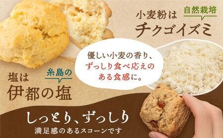 【自宅用】スコーンのイメージ変えてみませんか？定番＆季節の スコーン 12個セット 糸島 / スコーン専門店 キナフク 焼き菓子 焼菓子 洋菓子 スイーツ パン [AFA004]