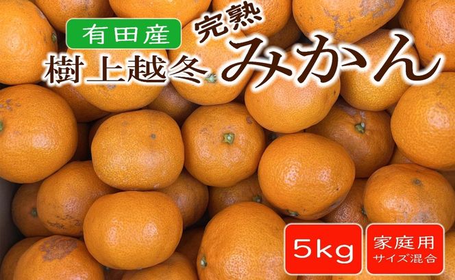 【濃厚・まろやか】有田産樹上越冬完熟みかん約5kg（ご家庭用）★2026年1月下旬頃より順次発送 BZ132