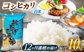 【12回定期便】コシヒカリ 白米 10kg×12か月 / 脇野コンバイン[AECP029]
