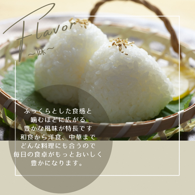 令和7年産予約 京都丹波産 コシヒカリ 5kg 白米
